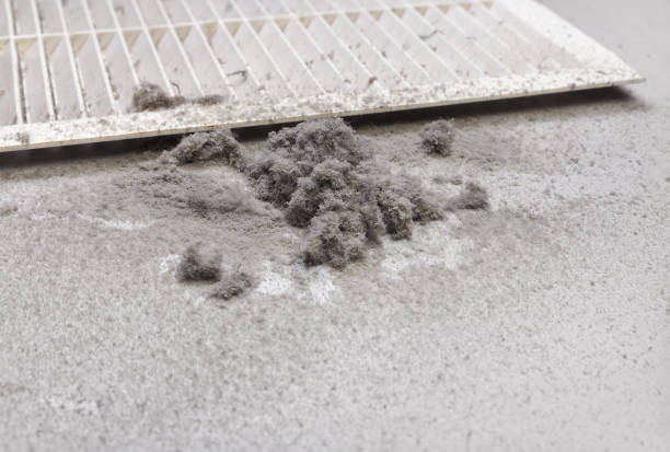 Best Professional Duct Cleaning Services  in Tunnel Hill, GA