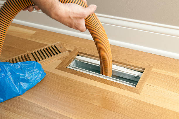 Air Duct Mold Removal in Tunnel Hill, GA
