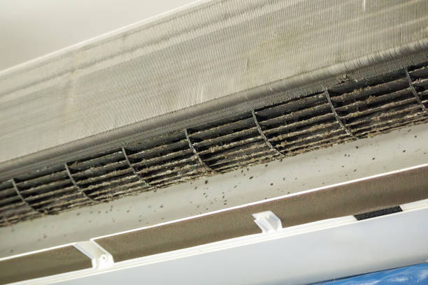 Best Local Air Duct Cleaning Services  in Tunnel Hill, GA